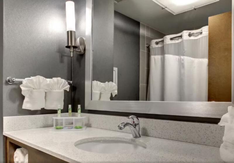 اتاق استاندارد با تخت بزرگ برای معلولان, Holiday Inn Express Hotel & Suites Albany By Ihg