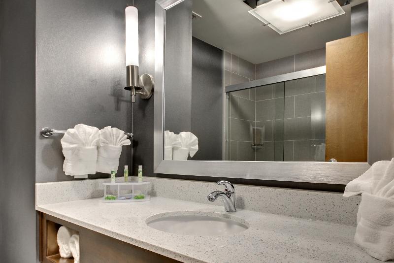 اتاق استاندارد, Holiday Inn Express Hotel & Suites Albany By Ihg