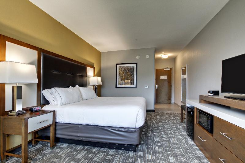 اتاق اجرایی با تخت بزرگ, Holiday Inn Express Hotel & Suites Albany By Ihg