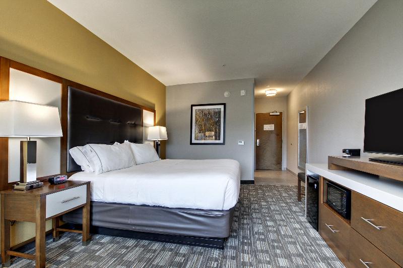 اتاق اجرایی با تخت بزرگ, Holiday Inn Express Hotel & Suites Albany By Ihg
