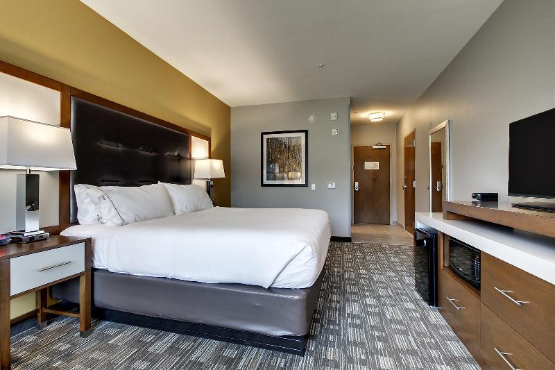 اتاق اجرایی با تخت بزرگ, Holiday Inn Express Hotel & Suites Albany By Ihg