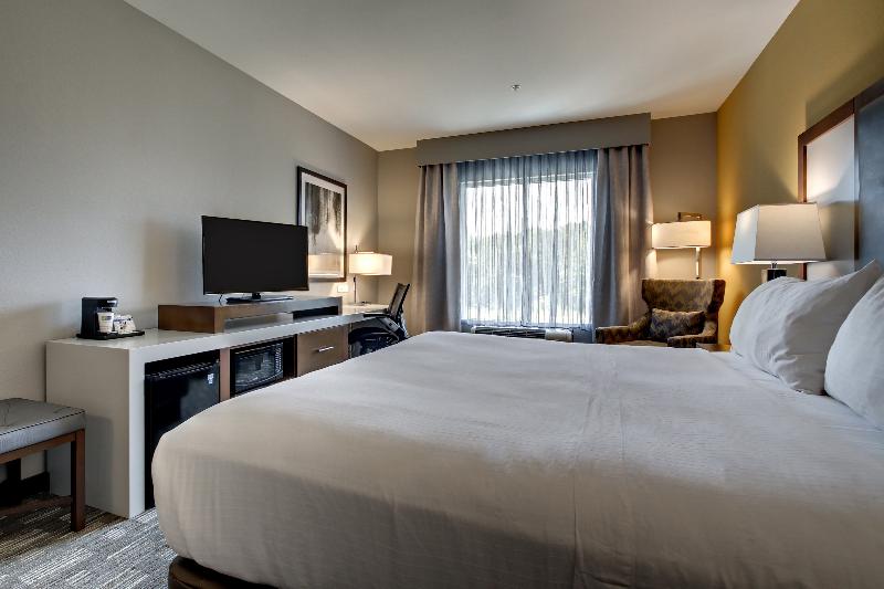 اتاق اجرایی با تخت بزرگ, Holiday Inn Express Hotel & Suites Albany By Ihg