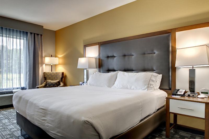 اتاق اجرایی با تخت بزرگ, Holiday Inn Express Hotel & Suites Albany By Ihg