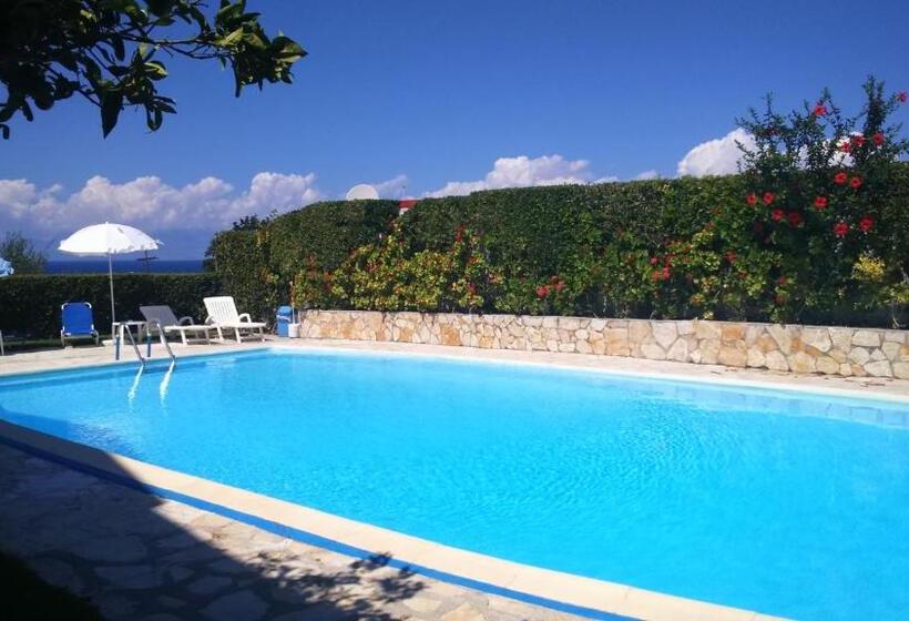 استودیوی استاندارد, Irene Apartments