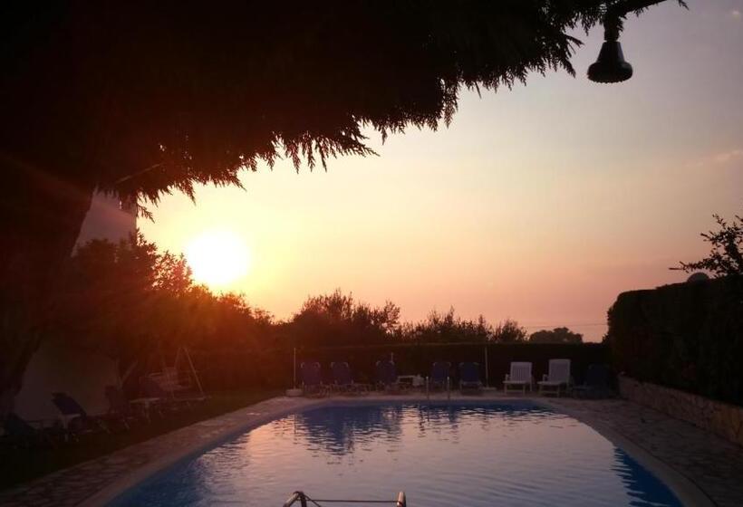 استودیوی استاندارد, Irene Apartments