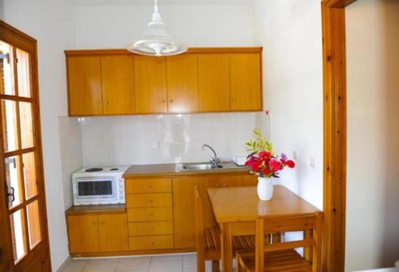 استودیوی استاندارد, Irene Apartments