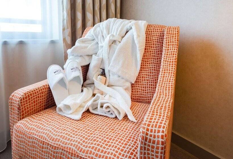 غرفة برستيج, Mercure Clermont Ferrand Centre Jaude