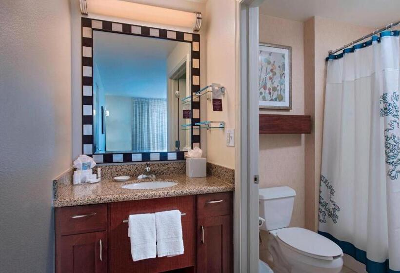 Suite Cama King, Residence Inn Bryan College Station