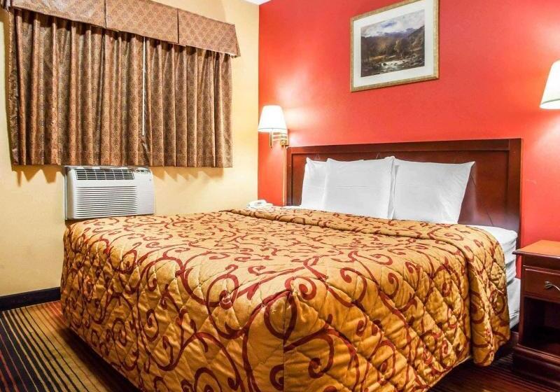 اتاق استاندارد با تخت بزرگ, Rodeway Inn