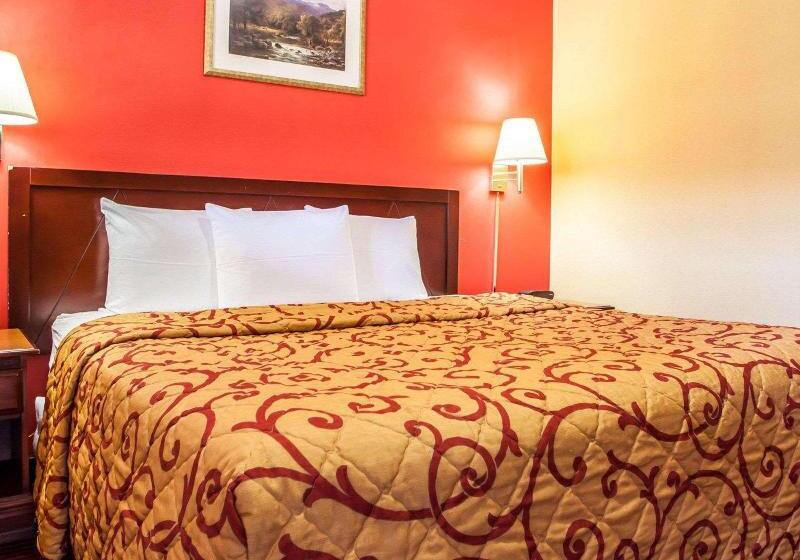 اتاق استاندارد با تخت بزرگ, Rodeway Inn