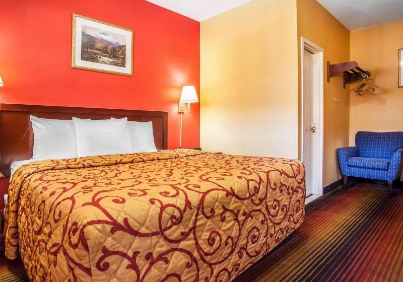 اتاق استاندارد با تخت بزرگ, Rodeway Inn