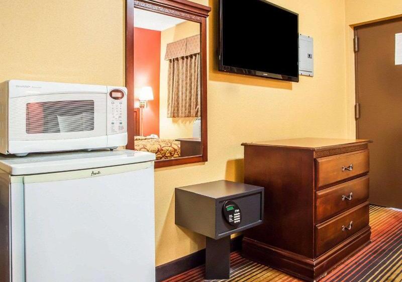 اتاق استاندارد با تخت بزرگ, Rodeway Inn