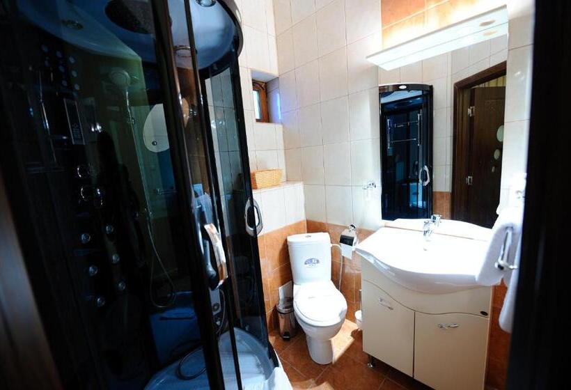 اتاق استاندارد یک نفره, Royal Craiova