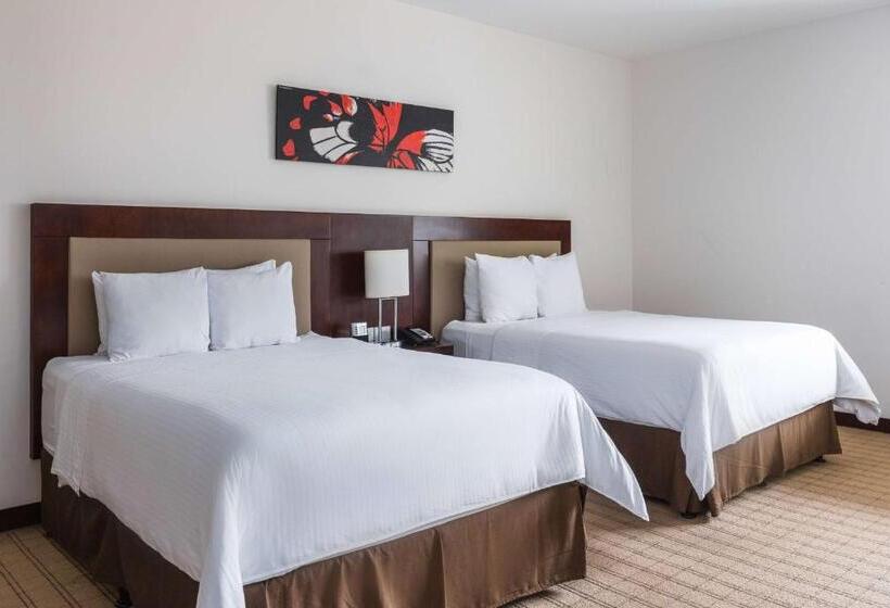 标准间, Wyndham Garden San Jose Escazu, Costa Rica