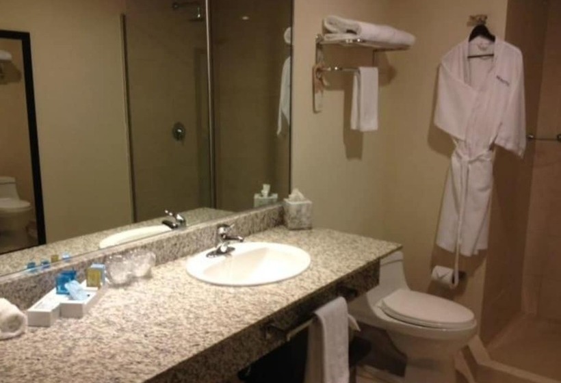 اتاق سوپریور, Novotel Panama City
