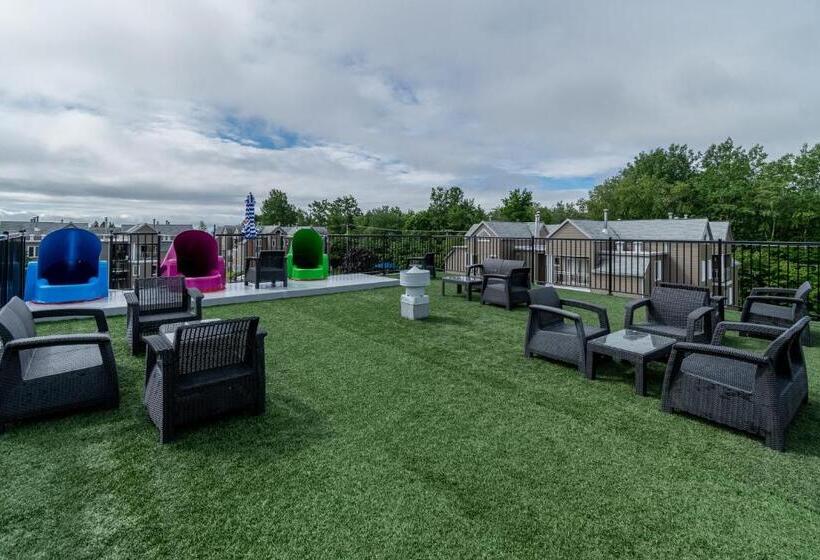 اتاق استاندارد با 2 تخت دوبل, Condos Vacances Msa Avec Piscine Et Spas Exterieurs Gratuits 4 Saisons!!