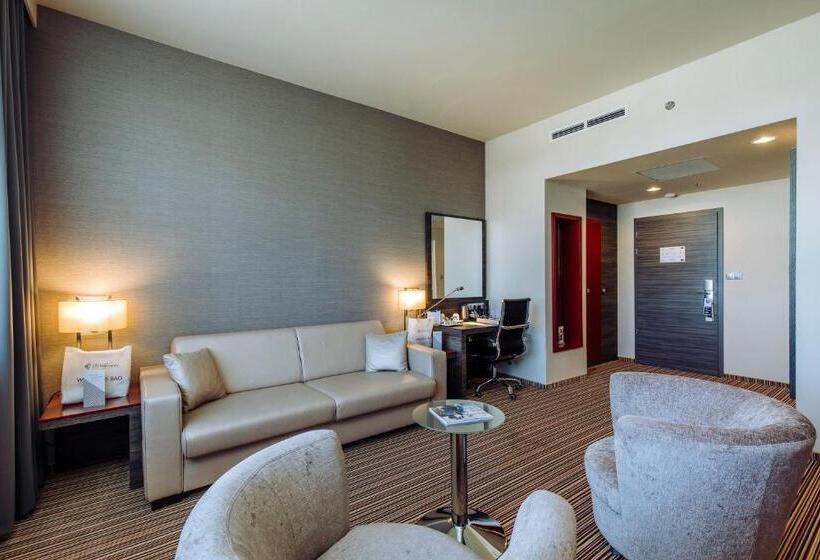 سوئیت اجرایی با مشاهده, Eto Park Hotel Business & Stadium