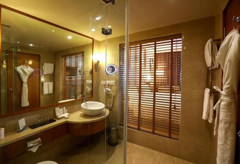 اتاق سوپریور, Radisson Blu Hotel Chennai City Centre