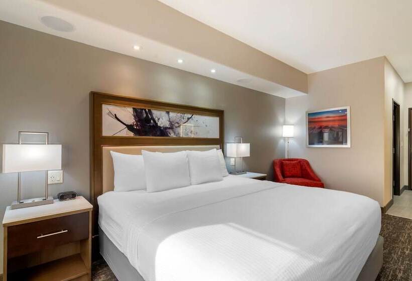 اتاق استاندارد با تخت دوبل, Best Western Premier Liberty Inn & Suites