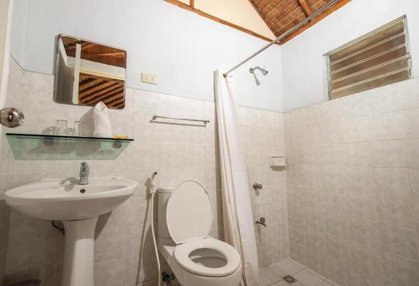 اتاق استاندارد با تخت بزرگ, Virgin Beach Resort