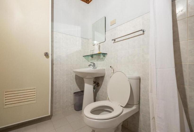 اتاق استاندارد با تخت بزرگ, Virgin Beach Resort