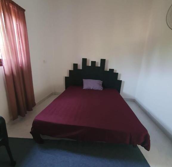 اتاق اکونومی, Airport Layover B&b