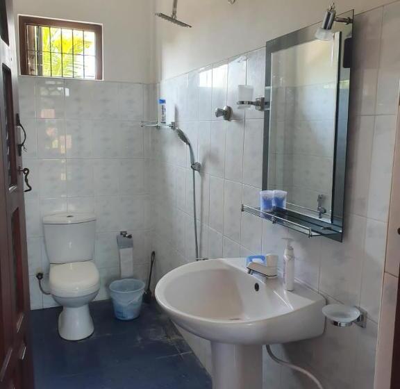 اتاق لوکس, Airport Layover B&b