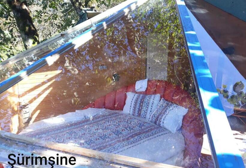 اتاق خانوادگی, Olimbera Köy Evi