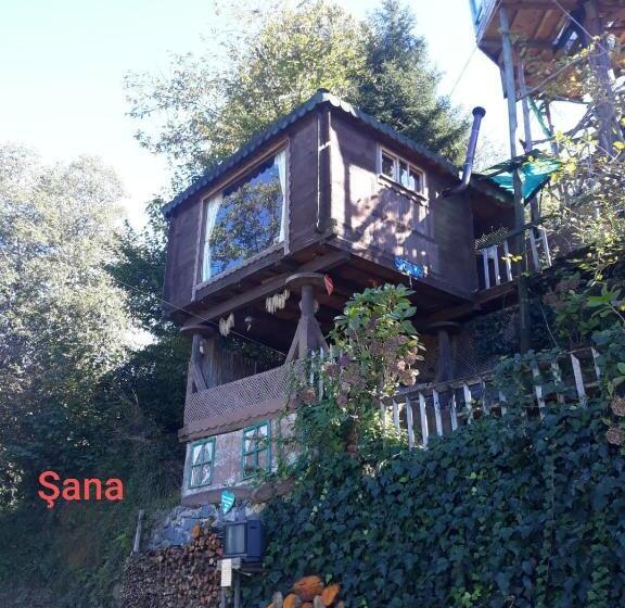 اتاق خانوادگی, Olimbera Köy Evi