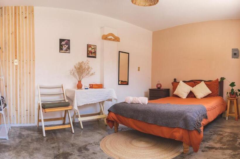 اتاق استاندارد با سرویس بهداشتی مشترک, Casa Sofia Guest House