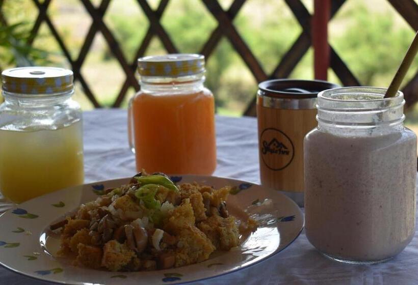 بنگله خانوادگی, Smyleinn Farm