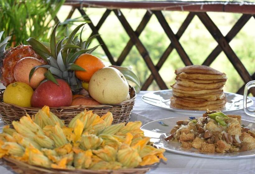 اتاق خانوادگی با چشم‌انداز کوه, Smyleinn Farm