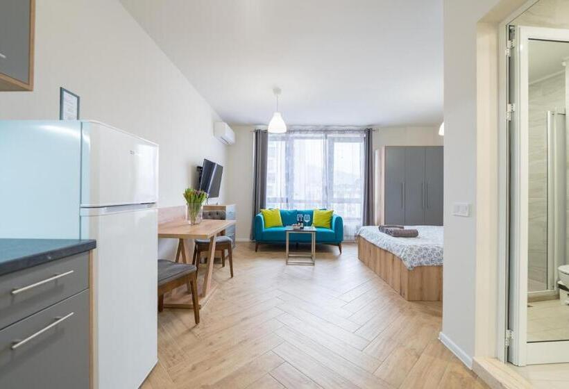 Superior studio mountain view, Wow Studios For Rent   Bul Montevideo 25a   B