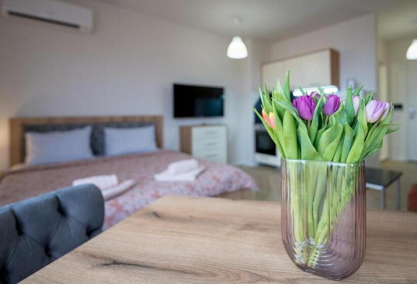 استودیوی استاندارد, Wow Studios For Rent   Bul Montevideo 25a   B