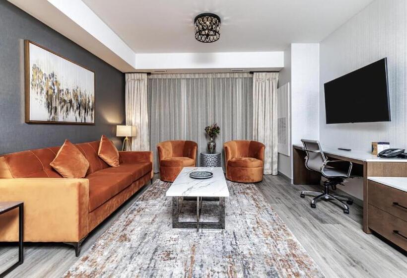 سوئیت با تخت بزرگ, Hyatt Place Torontobrampton