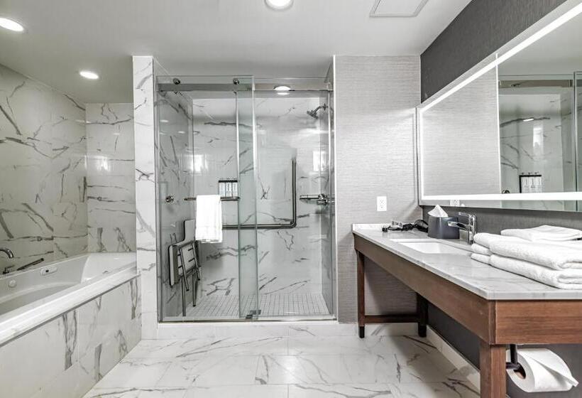 سوئیت با تخت بزرگ, Hyatt Place Torontobrampton