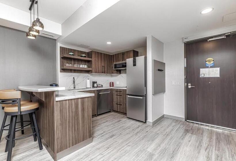 سوئیت با تخت بزرگ, Hyatt Place Torontobrampton