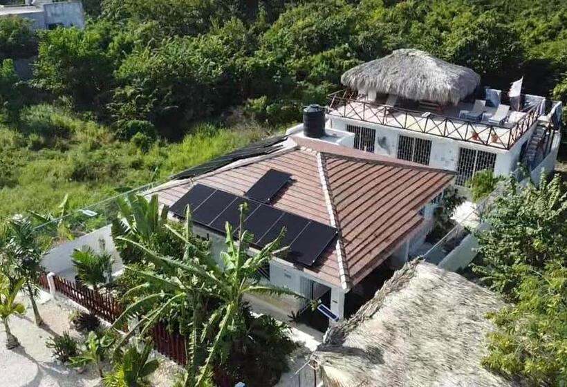 اتاق لوکس, Unique And Quiet Apartments La Botánica Tropical