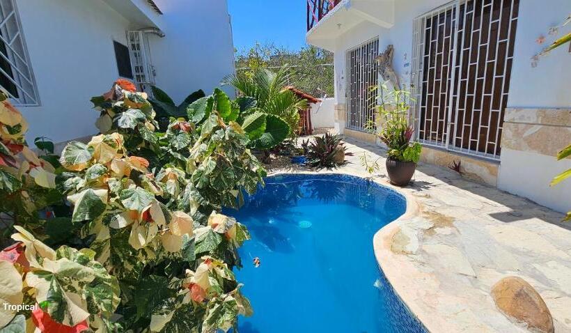 اتاق لوکس, Unique And Quiet Apartments La Botánica Tropical