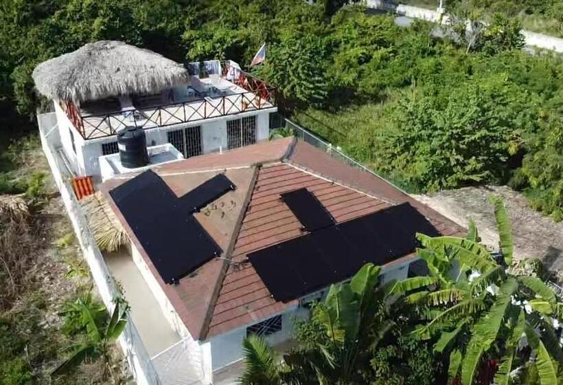 اتاق لوکس, Unique And Quiet Apartments La Botánica Tropical