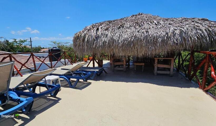 اتاق لوکس, Unique And Quiet Apartments La Botánica Tropical