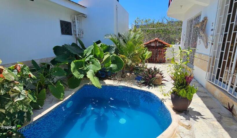 اتاق لوکس, Unique And Quiet Apartments La Botánica Tropical