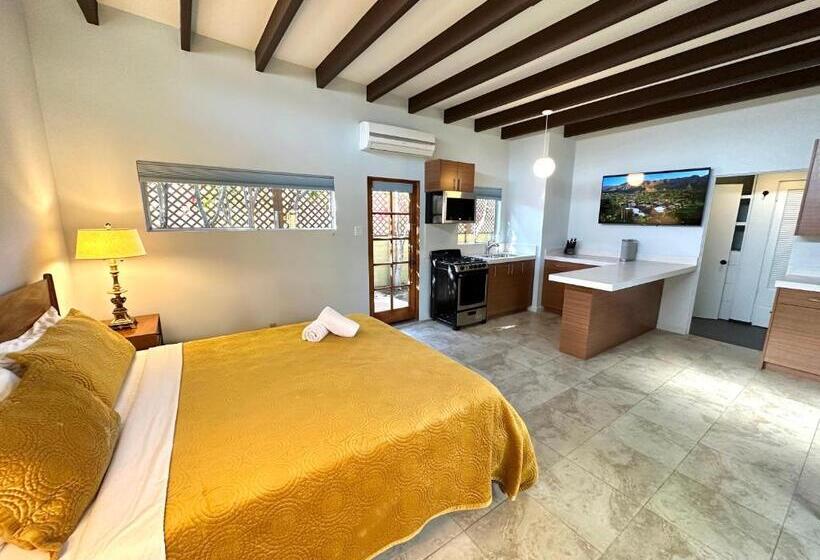 استودیوی لوکس, Atrium Palm Springs   G A Y Mens Resort