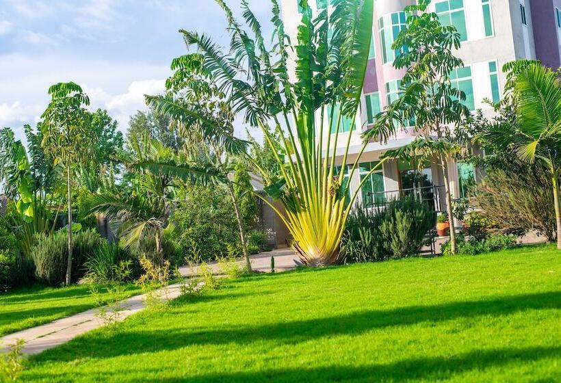اتاق لوکس, Elanacha