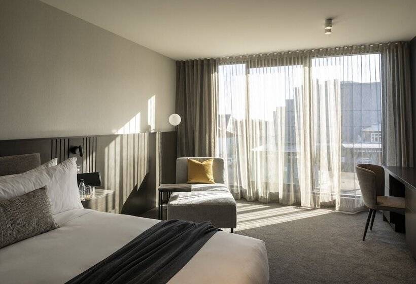 اتاق استاندارد با تخت بزرگ, The Mayfair