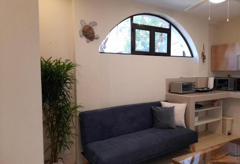 استودیوی لوکس, Zulu Surf Hotel Tamarindo