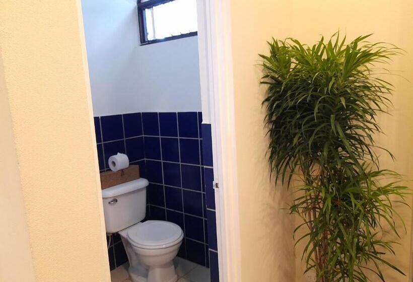 استودیوی لوکس, Zulu Surf Hotel Tamarindo