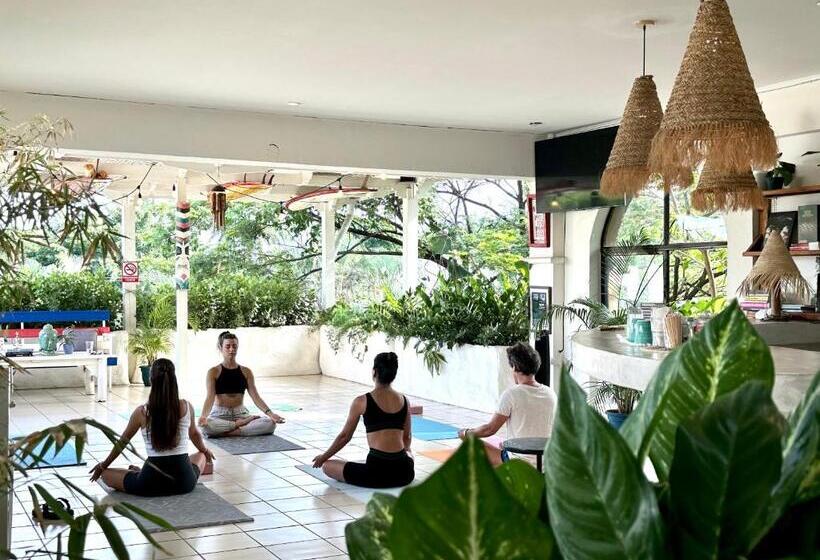 استودیوی لوکس, Zulu Surf Hotel Tamarindo
