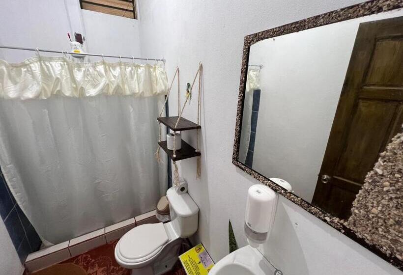 اتاق خانوادگی, Natural Experience House