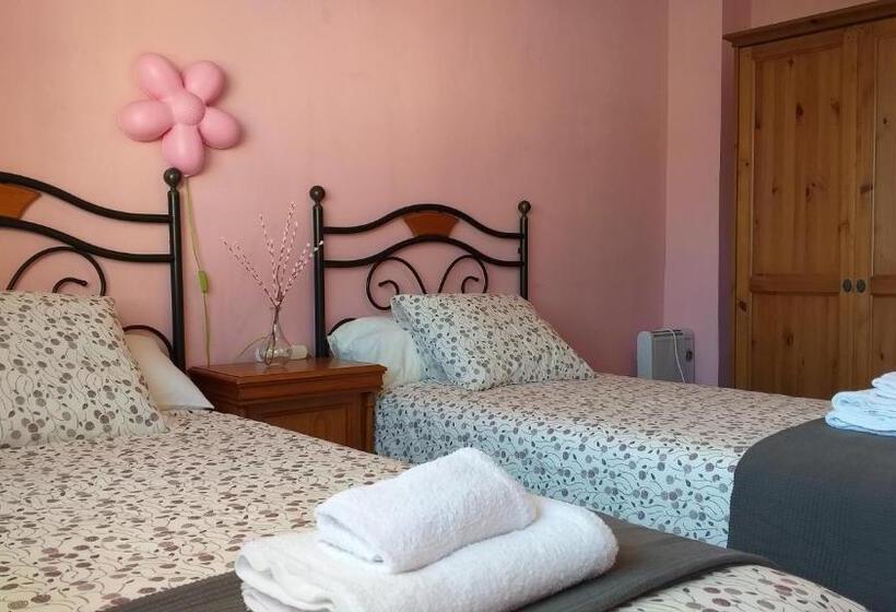 اتاق استاندارد با سرویس بهداشتی مشترک, Lola 3   Habitacion Privada   Aire Acondicionado   Baños Compartidos